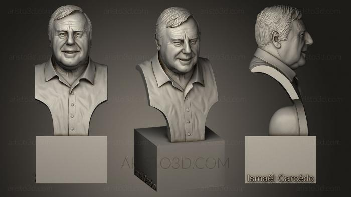 Busts and bas-reliefs of famous people (BUSTC_0714) 3D model for CNC machine